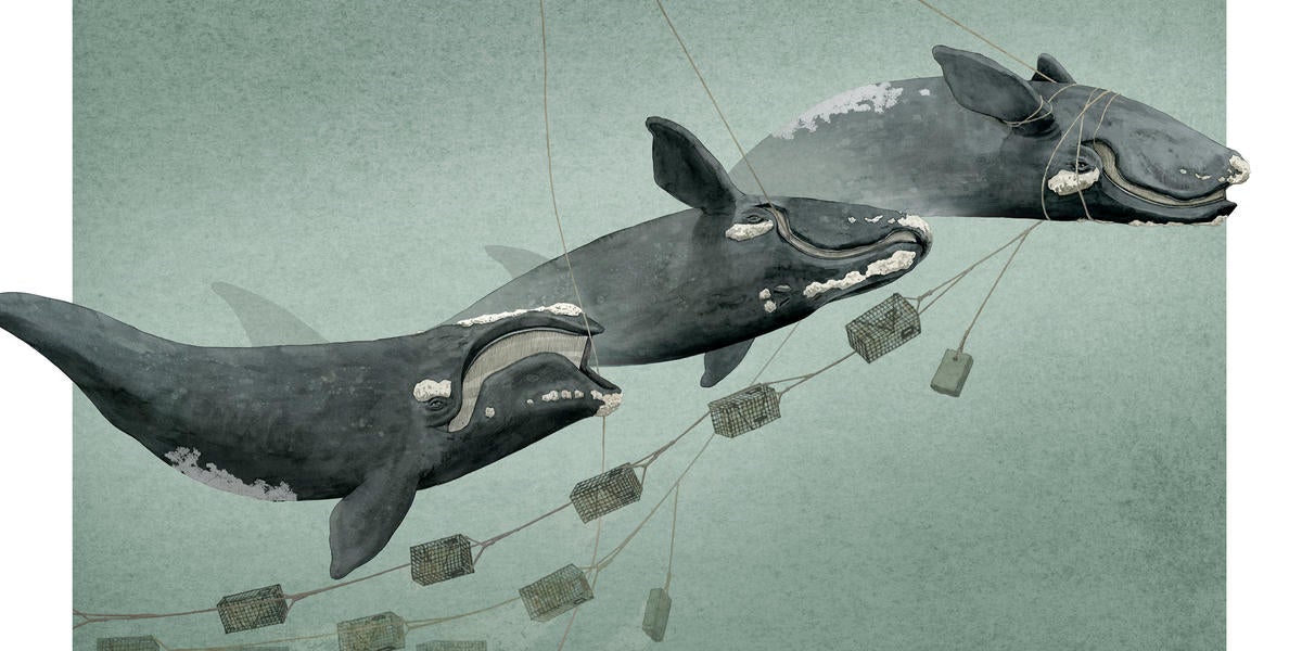 Sketchbook | Delving Deep for NatGeo | RISD