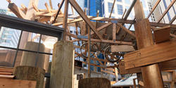 Kirloskar Visiting Scholar Asim Waqif's piece Salvage comments on the consequences of urban development in Vancouver, Canada
