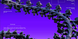 striking spine-like structure against a purple background