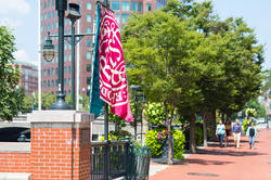 RISD flags along river walk