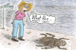 From cartoonist Roz Chast 77 PT’s recent book Going Into Town: A Love Letter to New York