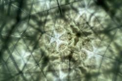 kaleidoscopic image made using inexpensive materials, sophomore Jazmyn Babler 23 FAV