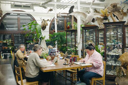 adult learners sketch natural specimens in the Nature Lab