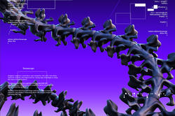 striking spine-like structure against a purple background