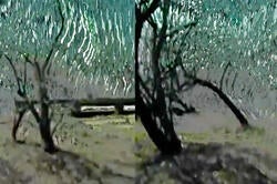 still from experimental student film showing digitally manipulated footage of trees