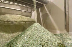 an industrial machine sprays shards of broken green glass into a huge pile