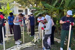 students extracting fiber out of banana plant's stems