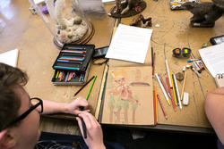 A student is working on a drawing at a table in the Nature Lab.