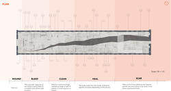 Student work by Interior Architecture graduate alum Vivian Natalia Combariza Mejia of a gray diagram on a warm gradient background displaying the stages of wound healing.