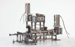 THE GREAT CHAIN OF BEING