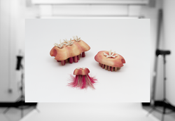 Riley Borst, BFA 25 TX