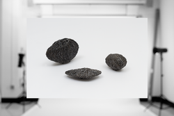 Emelia Violich, BFA 25 FD