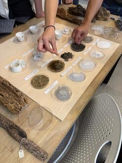 hands reach toward a series of arranged petri dish-like containers filled with fine wood particles