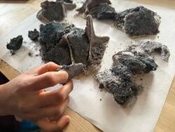 a hand holds a piece of gray natural material near several other pieces of the same material