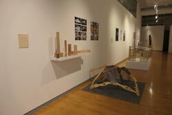 student work by Farnaz Dastranj displayed in a gallery