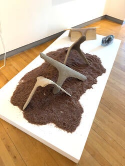 student work by Tanmayee More displayed in an exhibition space