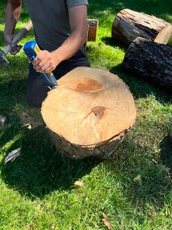 a student carves down into a tree stump surrounded by green grass and other logs
