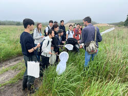 a group of students and researchers stand on a path surrounded by tall green grass, with bug-catcher nets and other equipment in hand and the coastline in the background
