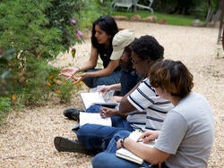 students look at a plant and draw in sketchbooks