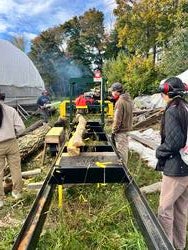 several students mill black locust wood in a green outdoor space