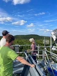 several students stand on observation platform elevated high above forest, with blue sky in the background