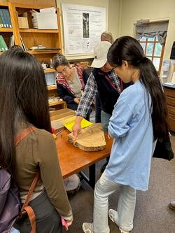 several people in an indoor setting look at a thin cross-section of a tree trunk resting on a table