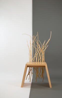 a light-brown wood chair with wild branches forming the chair back