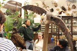 local youth take part in a BRACKISH sketching session at RISD's Nature Lab