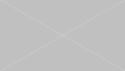 gray box with diagonal lines running from corner to corner to form and x