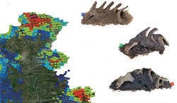forest glass experiments mapped by location