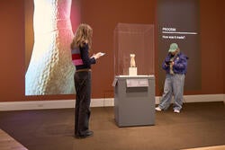 Ways of Looking interactive space 
