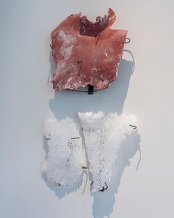wall-mounted sculptures arranged in the manner and shape of a heart and lungs