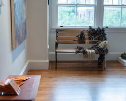 a park bench half-covered with shellfish and seaweed placed by a window, with artworks hanging on an adjacent wall