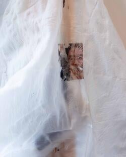 a small photo of a close-up face nestled in sheer white fabric