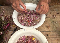 Mayan papermaking process