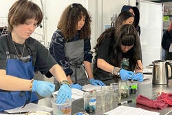 students use pipettes to measure out the salt and citric acid