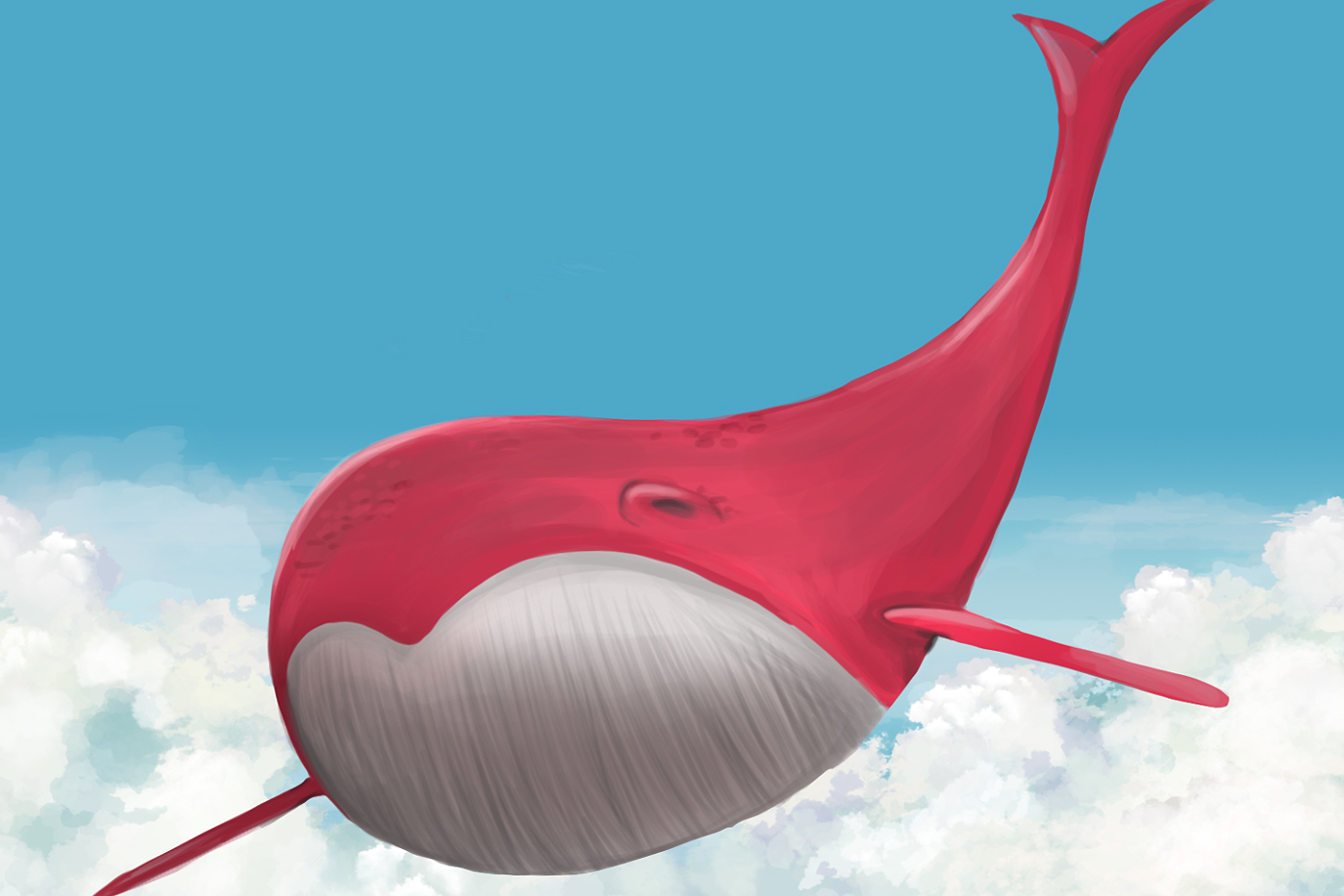 animated pink whale