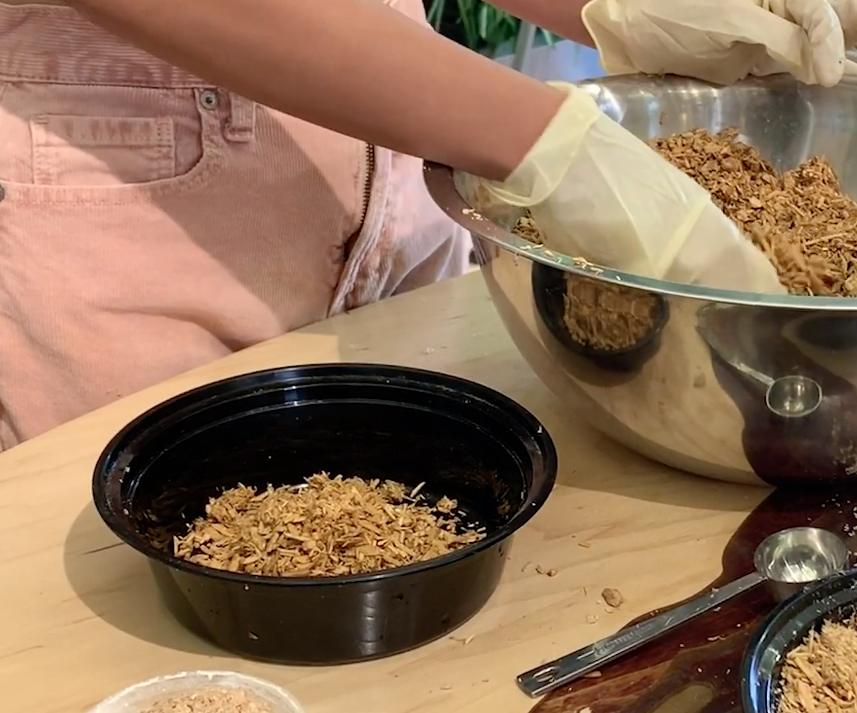 student mixes coffee grounds with wood chips to cultivate mycellium