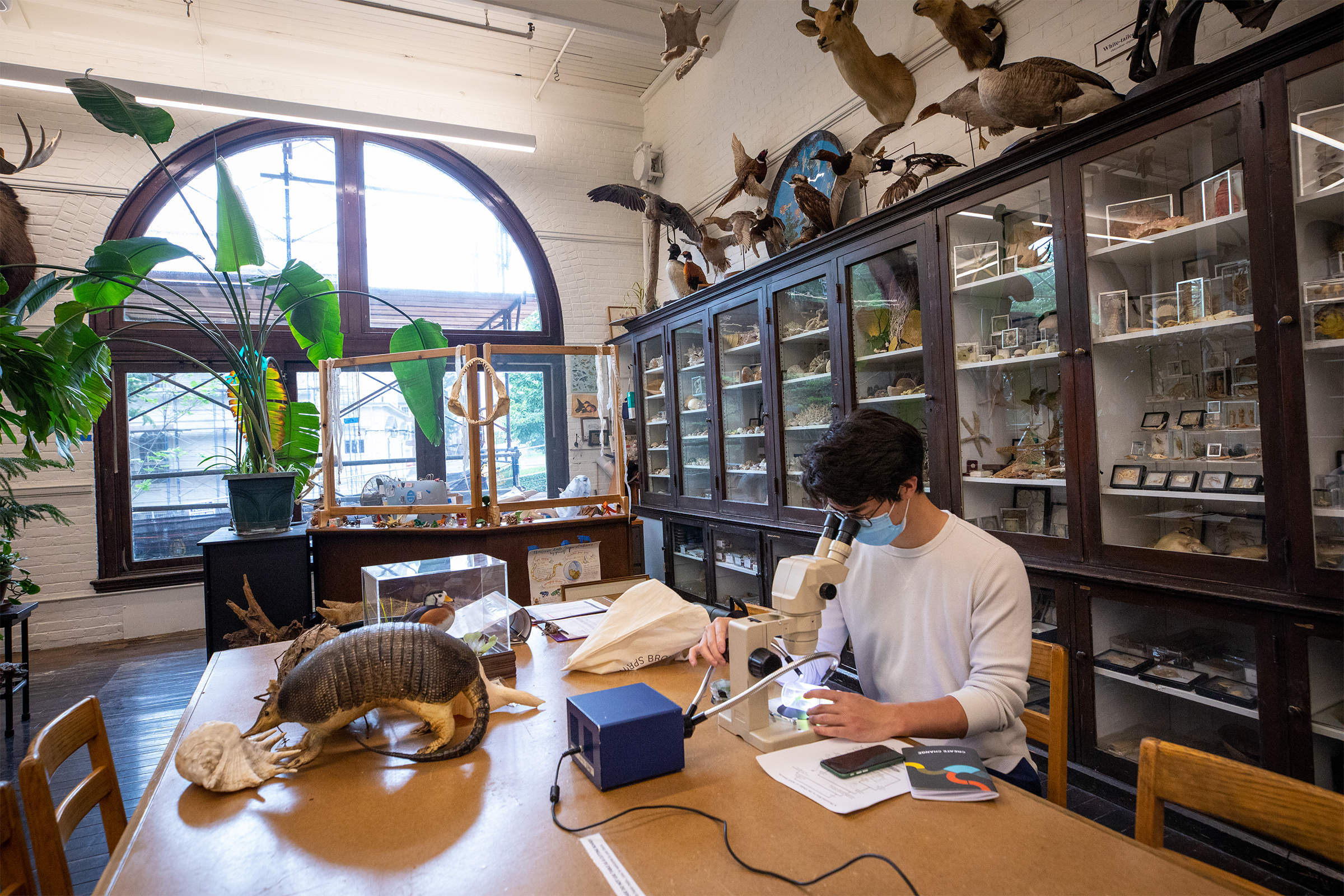 a student peers through a microscope in RISD's Nature Lab