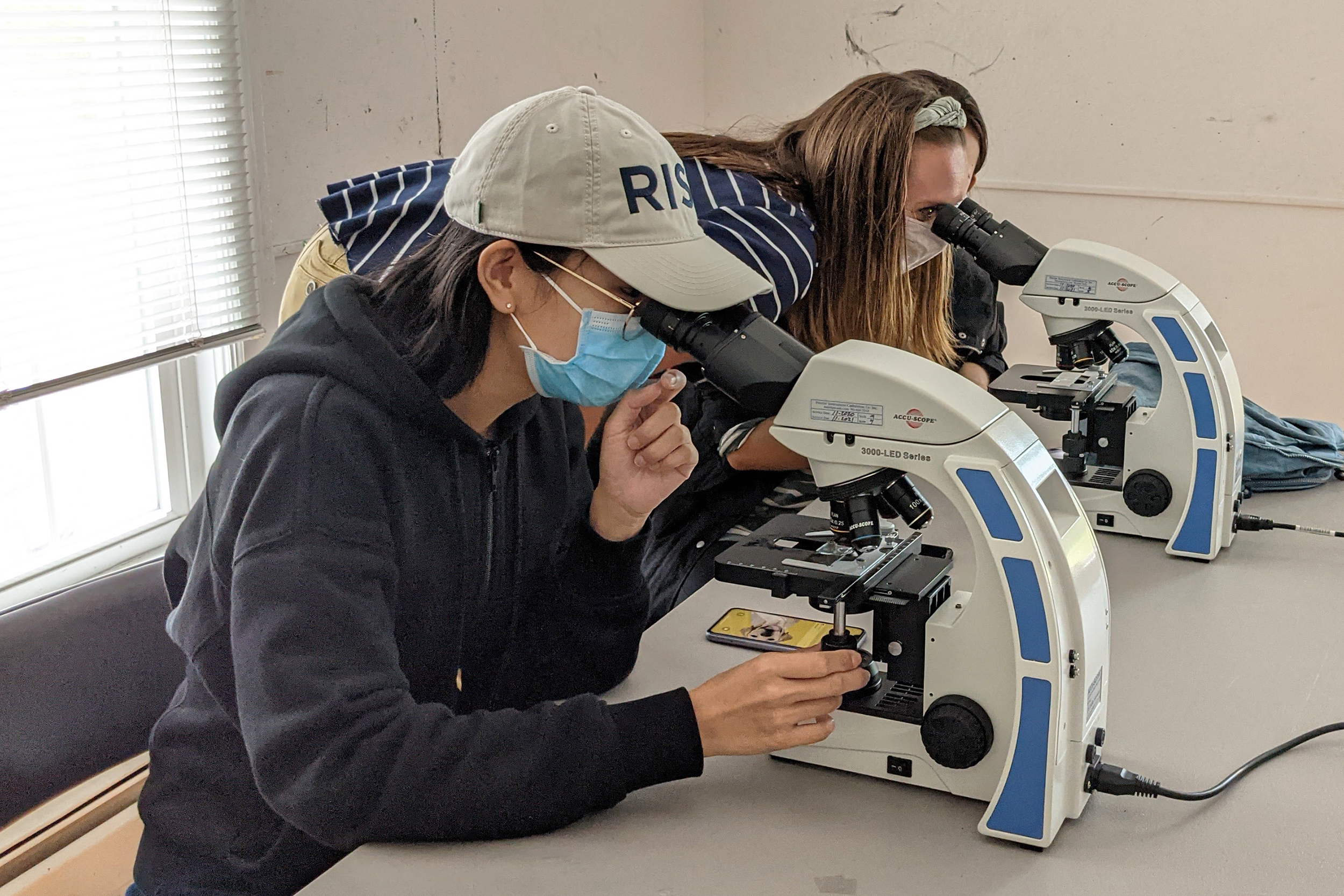 two students peer through microscopes