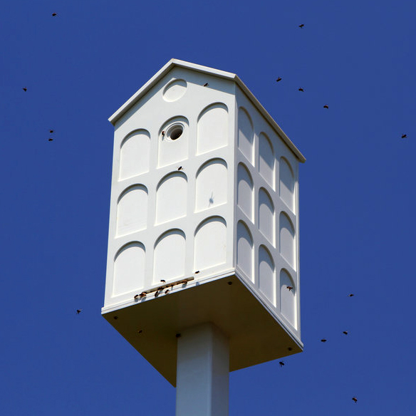 A busy bee hive