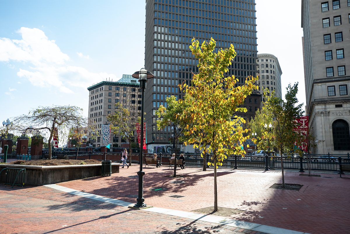 Autumn leaves on campus