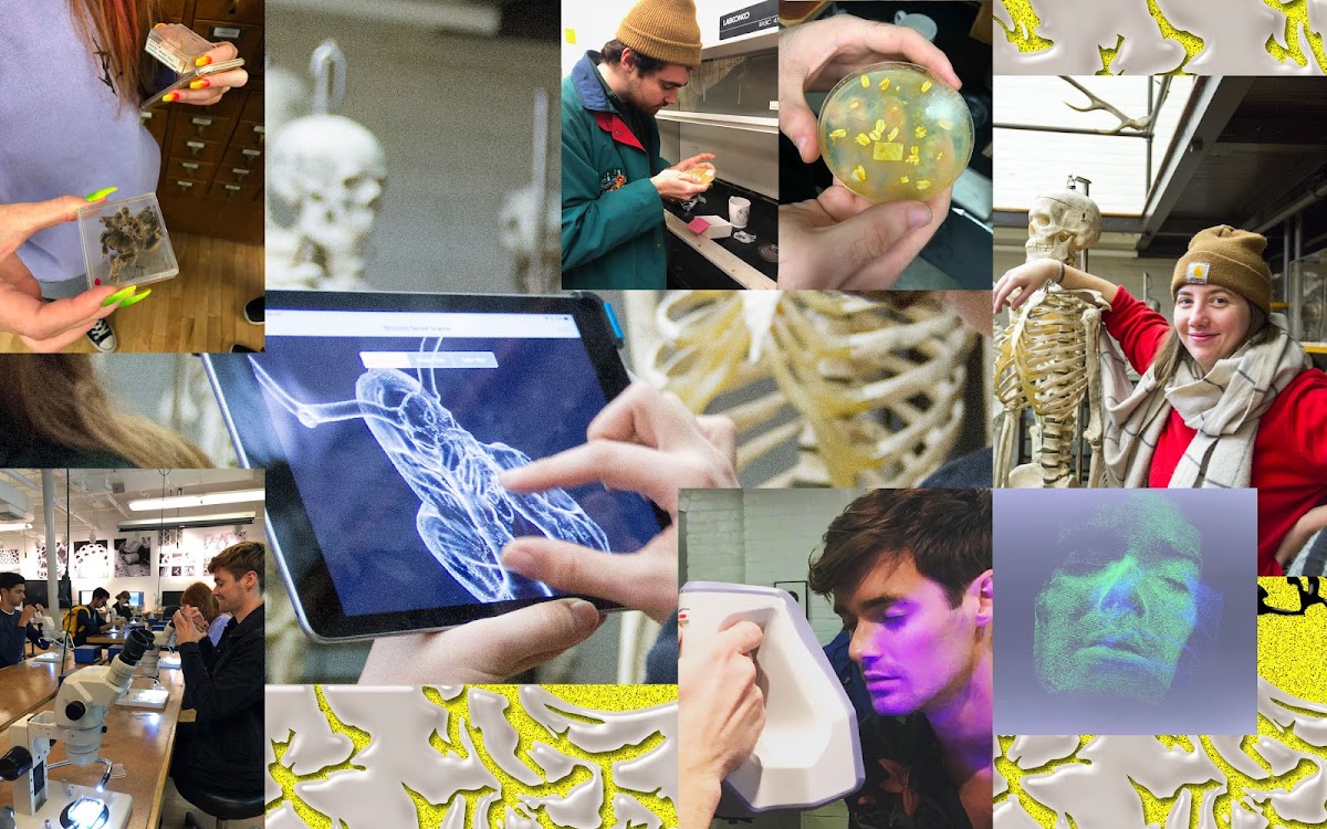 Collage of images of students in Raina’s studio Design in the Posthuman Age working at the Nature Lab