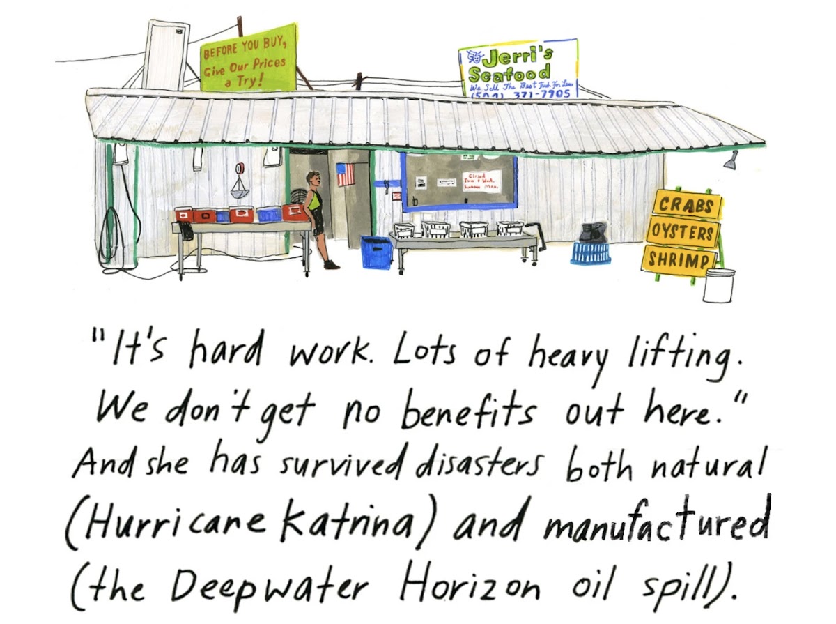From Julia Rothman 02 IL and writer Shaina Feinberg's piece about working as a female fishmonger on the docks in New Orleans, from their new biweekly column, Scratch, in The New York Times