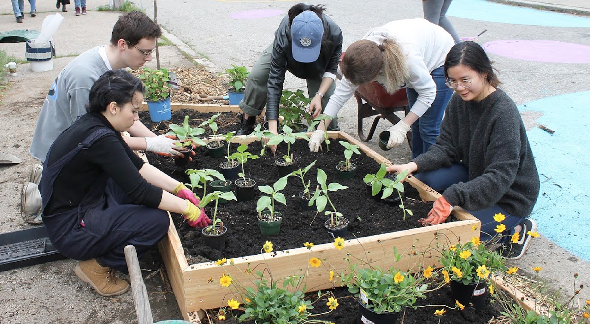 Students fill a planter