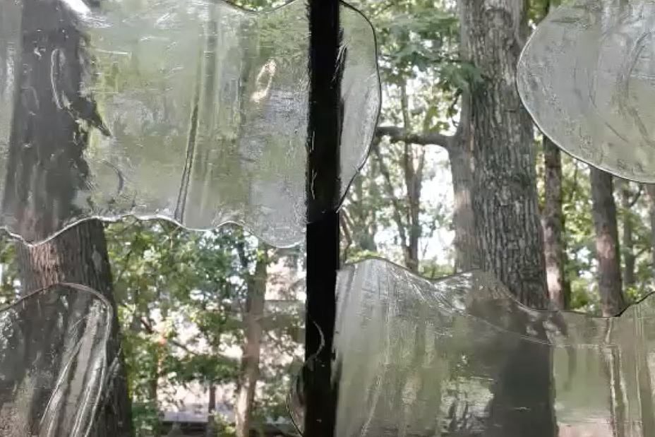 Window made up of different types of glass, frosted and clear