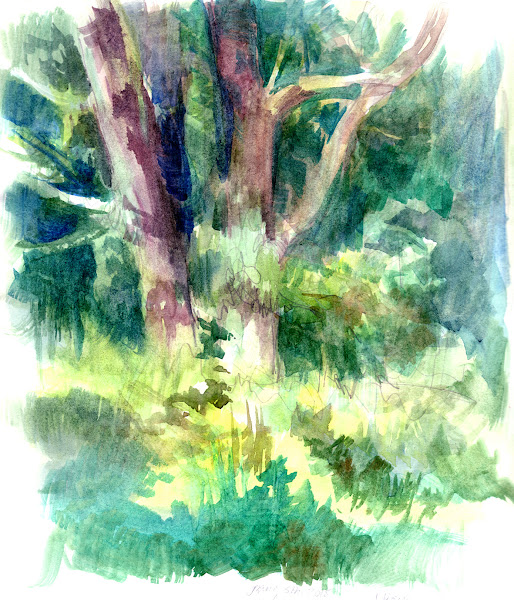 Watercolor of trees, by Julie Benbassat 19 IL