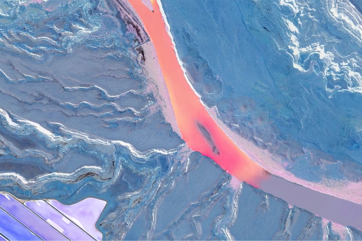 Another microscopic imagery still from Maria Constanza Ferreira 17 FAV/GD