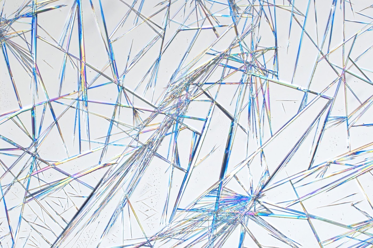Still from Maria Constanza Ferreira 17 FAV/GD project featuring microscopic imagery