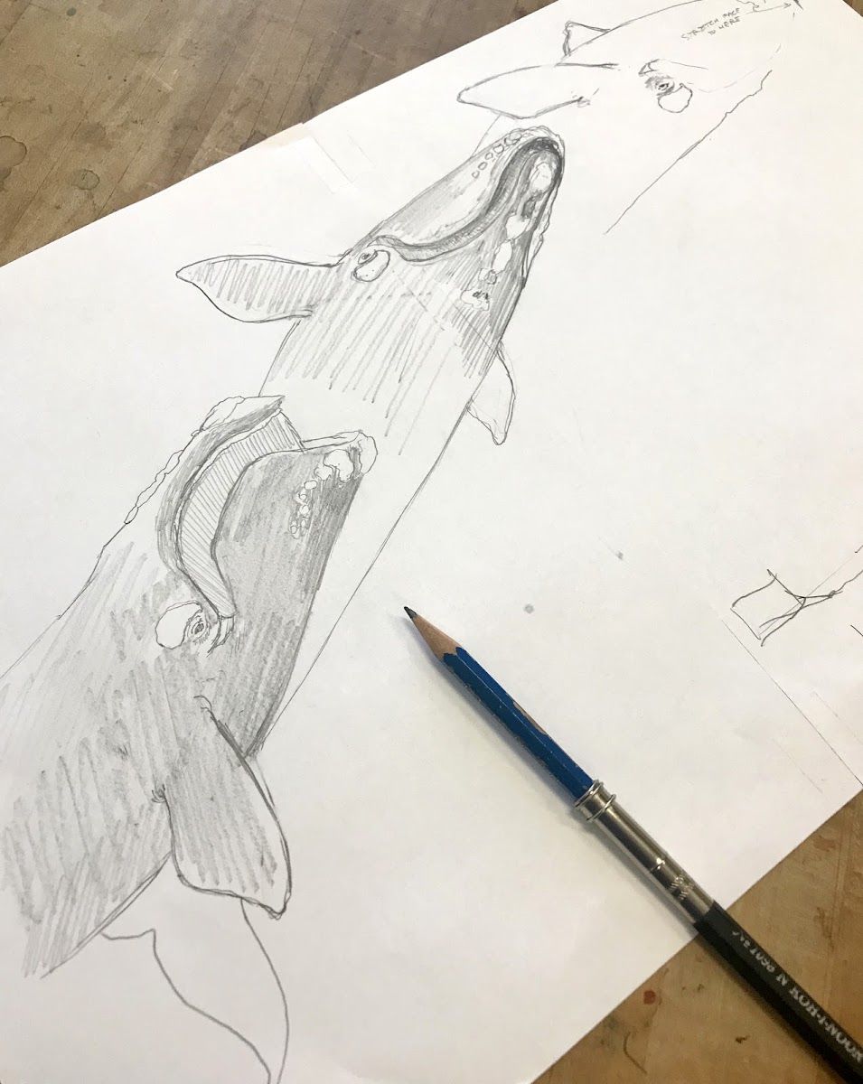 Sketch of whales by Illustration faculty member Joe McKendry 94 IL
